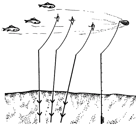Большая книга рыболова–любителя (с цветной вкладкой) _260.png