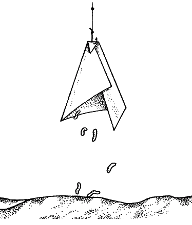 Большая книга рыболова–любителя (с цветной вкладкой) _261.png