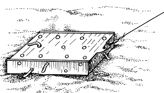 Большая книга рыболова–любителя (с цветной вкладкой) _274.png