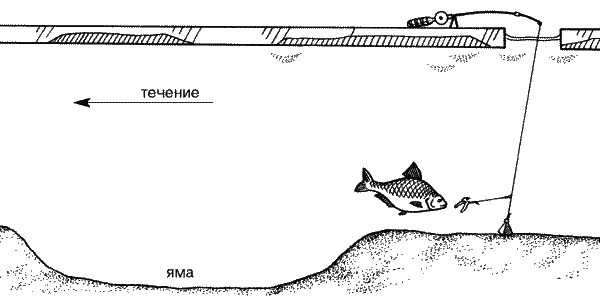 Большая книга рыболова–любителя (с цветной вкладкой) _288.png