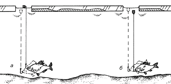 Большая книга рыболова–любителя (с цветной вкладкой) _289.png