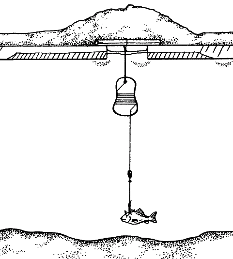 Большая книга рыболова–любителя (с цветной вкладкой) _296.png