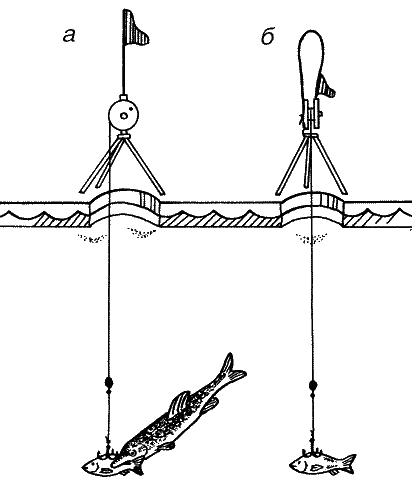 Большая книга рыболова–любителя (с цветной вкладкой) _297.png