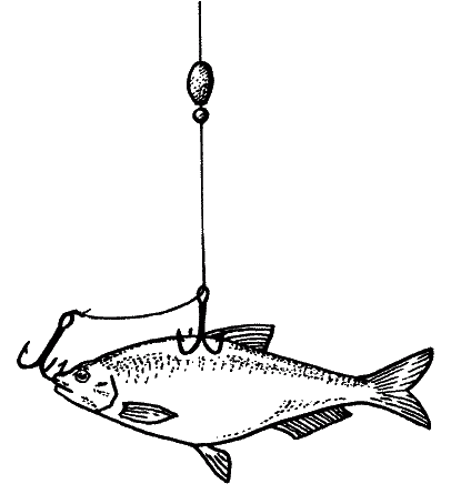 Большая книга рыболова–любителя (с цветной вкладкой) _303.png