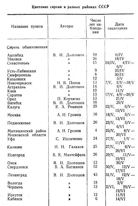 Сирень i_060.jpg
