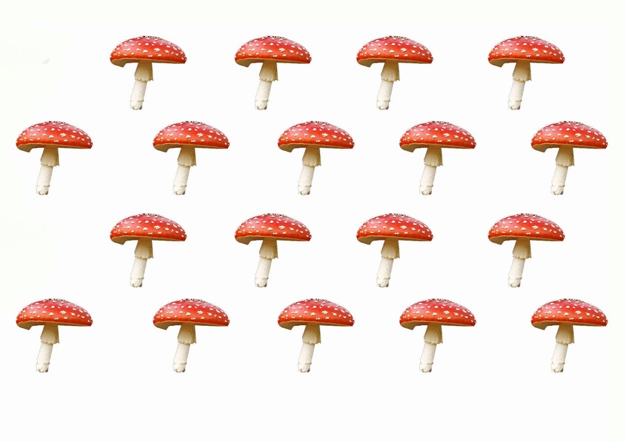 Рифмы жизни _8.jpg