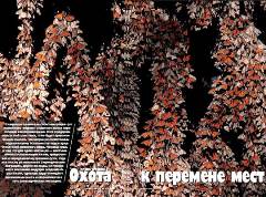 Журнал «Вокруг Света» №8 за 2004 год any2fbimgloader1.jpeg