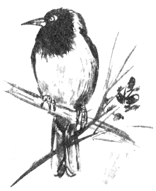 Томек в Гран-Чако pic03.png