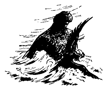 Сказки Тихого Дона (илл. Н.Драгунов) pic_4.png