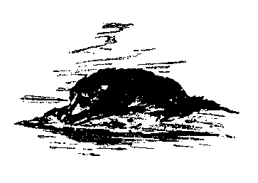Сказки Тихого Дона (илл. Н.Драгунов) pic_7.png