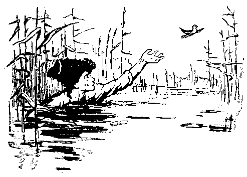 Сказки Тихого Дона (илл. Н.Драгунов) pic_8.png