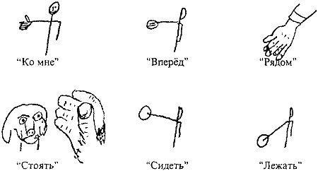 Думает ли собака? i_006.png