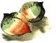 Огненный бог Марранов i_027.png