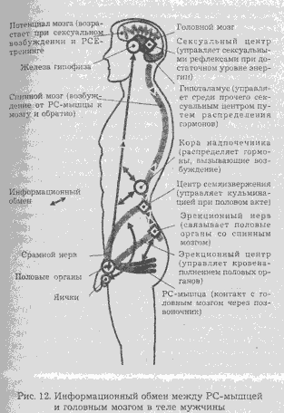 Сексуальная энергия. Ключ к здоровью и процветанию any2fbimgloader10.png