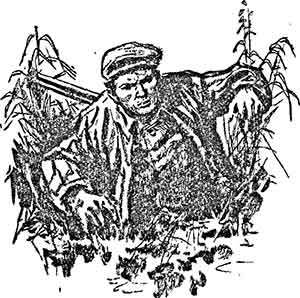 Купол на Кельме pic_19.jpg