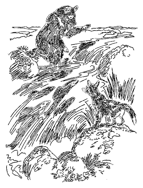 Замарайка. Саварка i_008.png