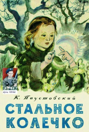 Стальное колечко