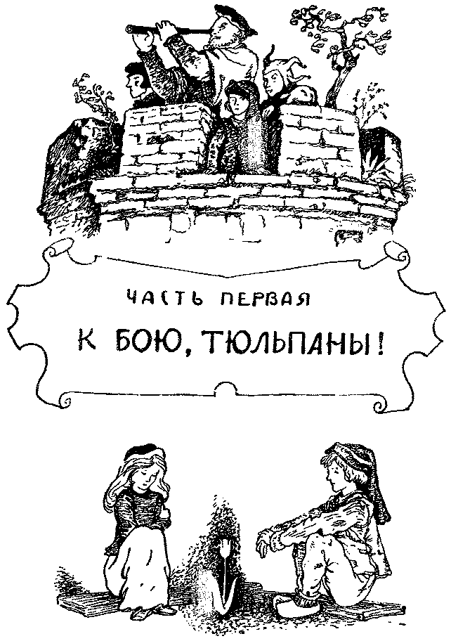 Кеес Адмирал Тюльпанов kees007.png