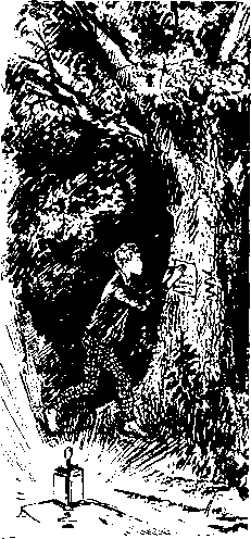 Мальчишки с улицы Пала img13.png