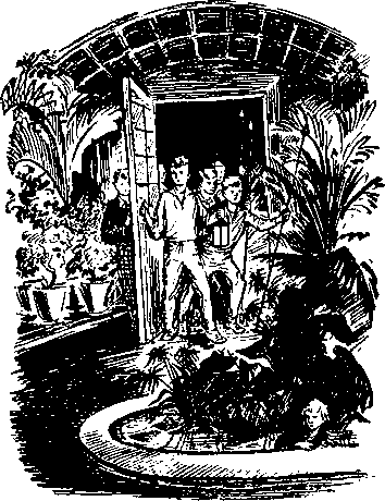 Мальчишки с улицы Пала img14.png