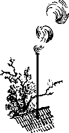 Мальчишки с улицы Пала img08.png