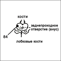 Акупунктура без иголок doc2fb_image_0300001F.png