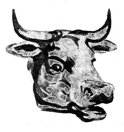 Сіно doc2fb_image_02000004.jpg