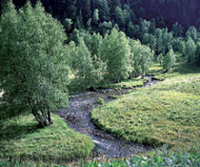Литературная Газета  6255 ( № 51 2009) TAGhttp___www_lgz_ru_userfiles_image_52_6256_2009_20-4_jpg961247