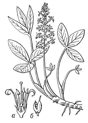 Большая Советская Энциклопедия (ВА) i009-001-205632431.jpg