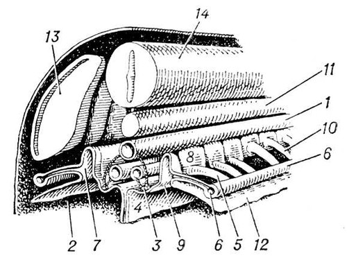 Большая Советская Энциклопедия (ВЫ) i010-001-283176570.jpg