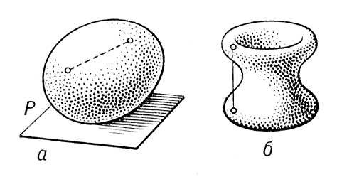 Большая Советская Энциклопедия (ВЫ) i009-001-223801611.jpg