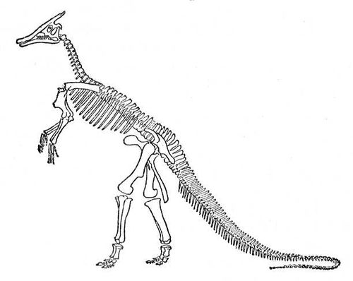 Большая Советская Энциклопедия (ЗА) i010-001-263548594.jpg