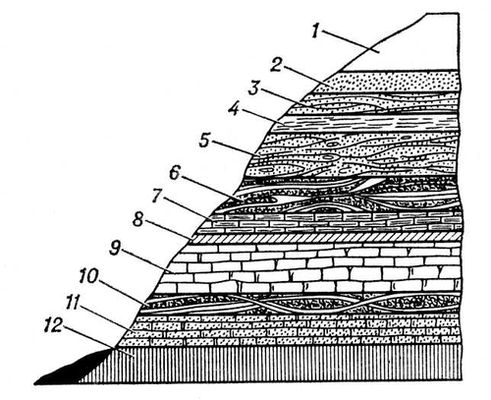 Большая Советская Энциклопедия (ЗА) i009-001-206365885.jpg