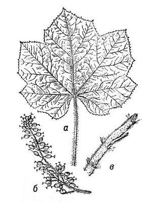 Большая Советская Энциклопедия (ЗА) i010-001-265414441.jpg