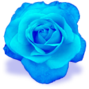 Полосатый кот и ласточка Синья blue_rose.png