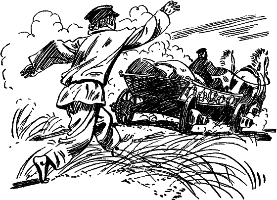 Утренний Конь (сборник) i_002.png