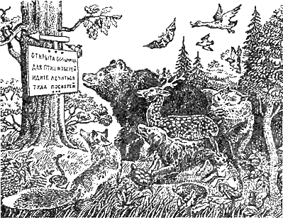 Доктор Айболит (с илл.) g04.png