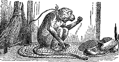 Доктор Айболит (с илл.) g05.png