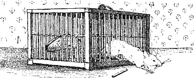 Доктор Айболит (с илл.) g81.png