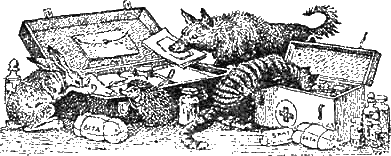Доктор Айболит (с илл.) g12.png