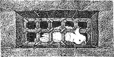 Доктор Айболит (с илл.) g18.png