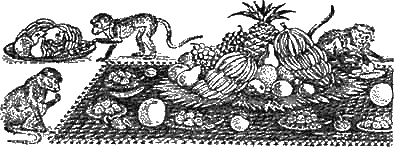 Доктор Айболит (с илл.) g23.png