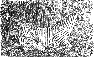 Доктор Айболит (с илл.) g25.png