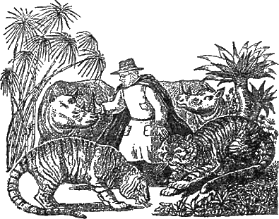 Доктор Айболит (с илл.) g27.png
