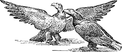 Доктор Айболит (с илл.) g39.png