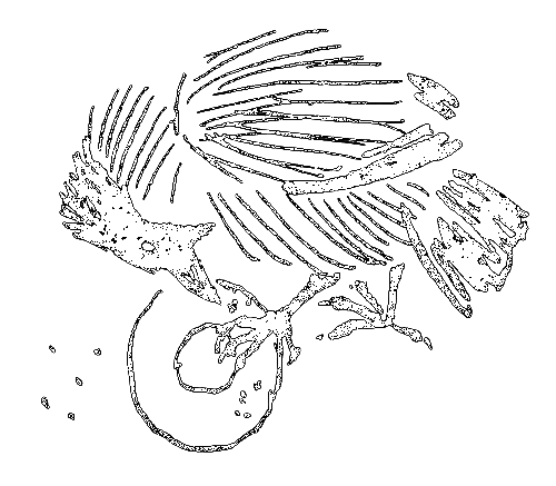 Сиамская овчарка (сборник) i_041.png