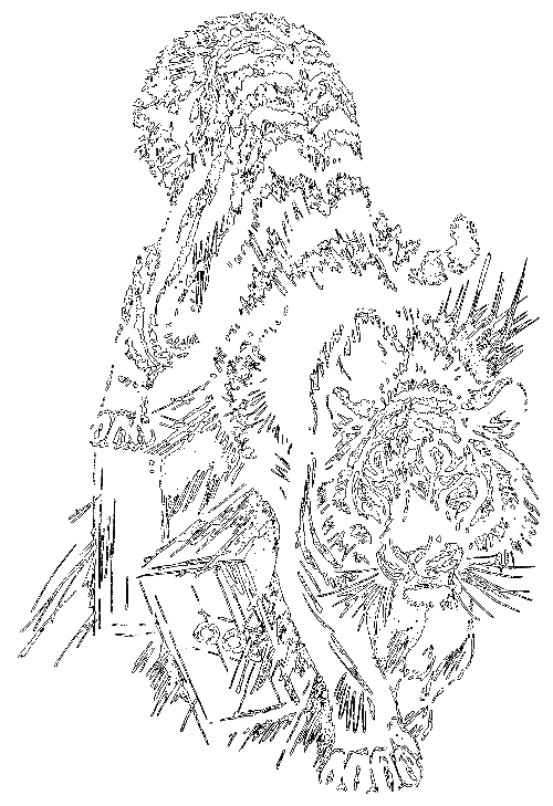 Сиамская овчарка (сборник) i_045.png