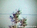 Журнал «Компьютерра» № 8 от 27 февраля 2007 года _hpd2.jpg