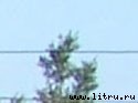 Журнал «Компьютерра» № 8 от 27 февраля 2007 года _original2.jpg