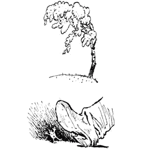 Полусказки i_002.png